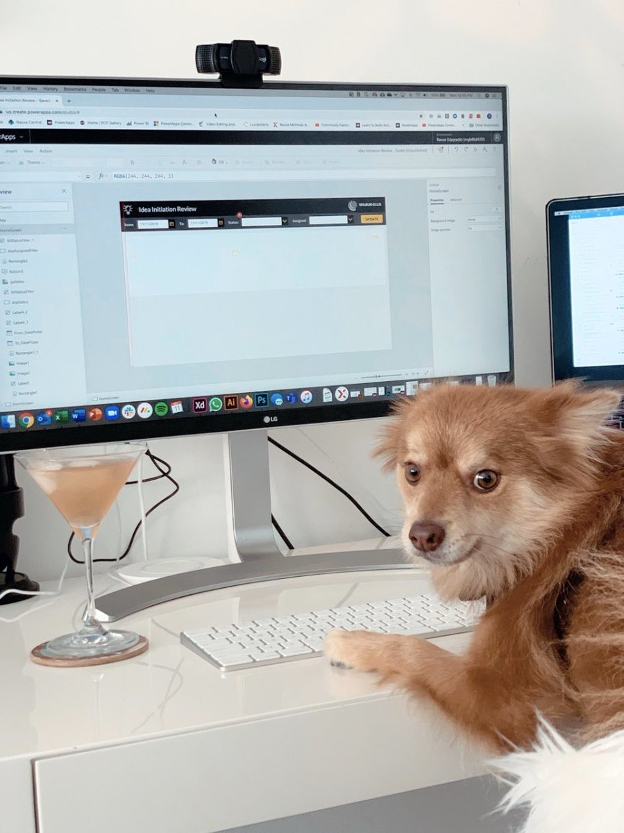 YusufBShariff's tweet image. Someone’s gotta work around here. It’s a doggy dog world 🐶 🦊 🤷🏻‍♂️ #PowerPups #LessCodeMoreTreats