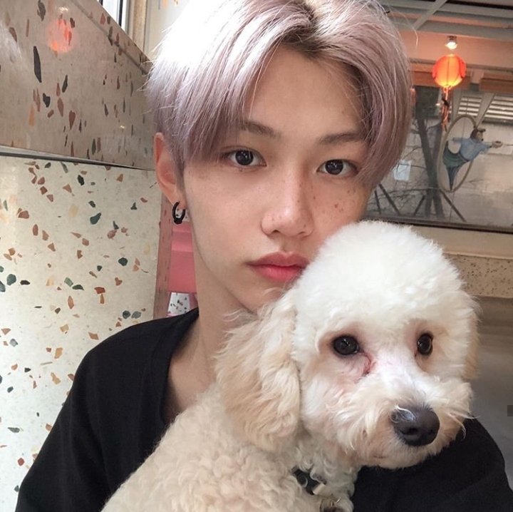 sshuunz's tweet photo. as sardas do felix são a coisa mais linda do mundo 😭💖💖 https://t.co/sFIOdEMpaY