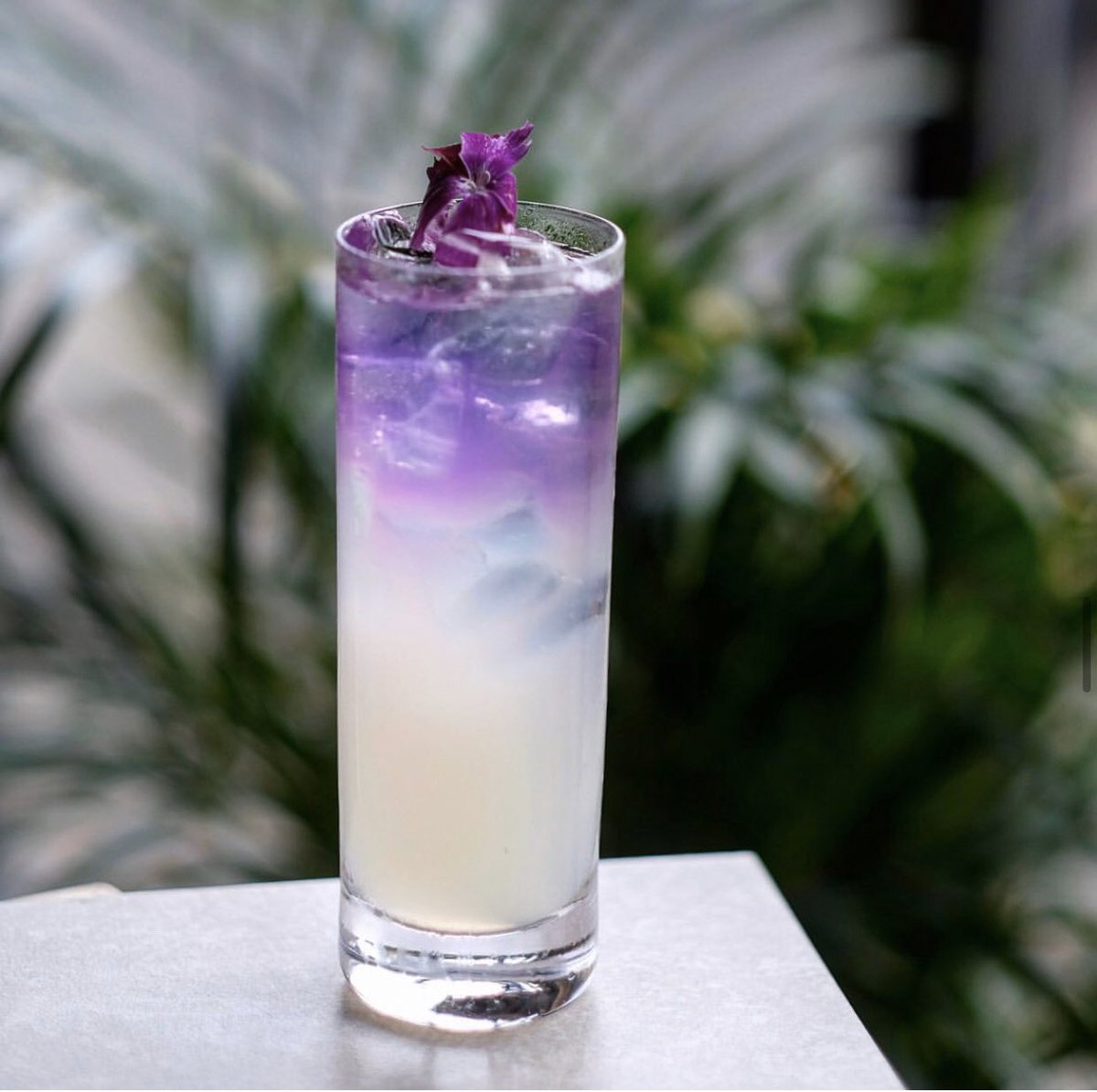 herringboneGA's tweet photo. This is our Trinity Storm and is part of our seasonal half price cocktails we launched a few weeks ago. It seems to be one of your favourites so far, made with Pampero Rum, Giffard pineapple liqueur, lime, butterfly pea tea, Topped with Ginger beer
#Edinburgh #cocktails #Bar https://t.co/PH0otyFiYr
