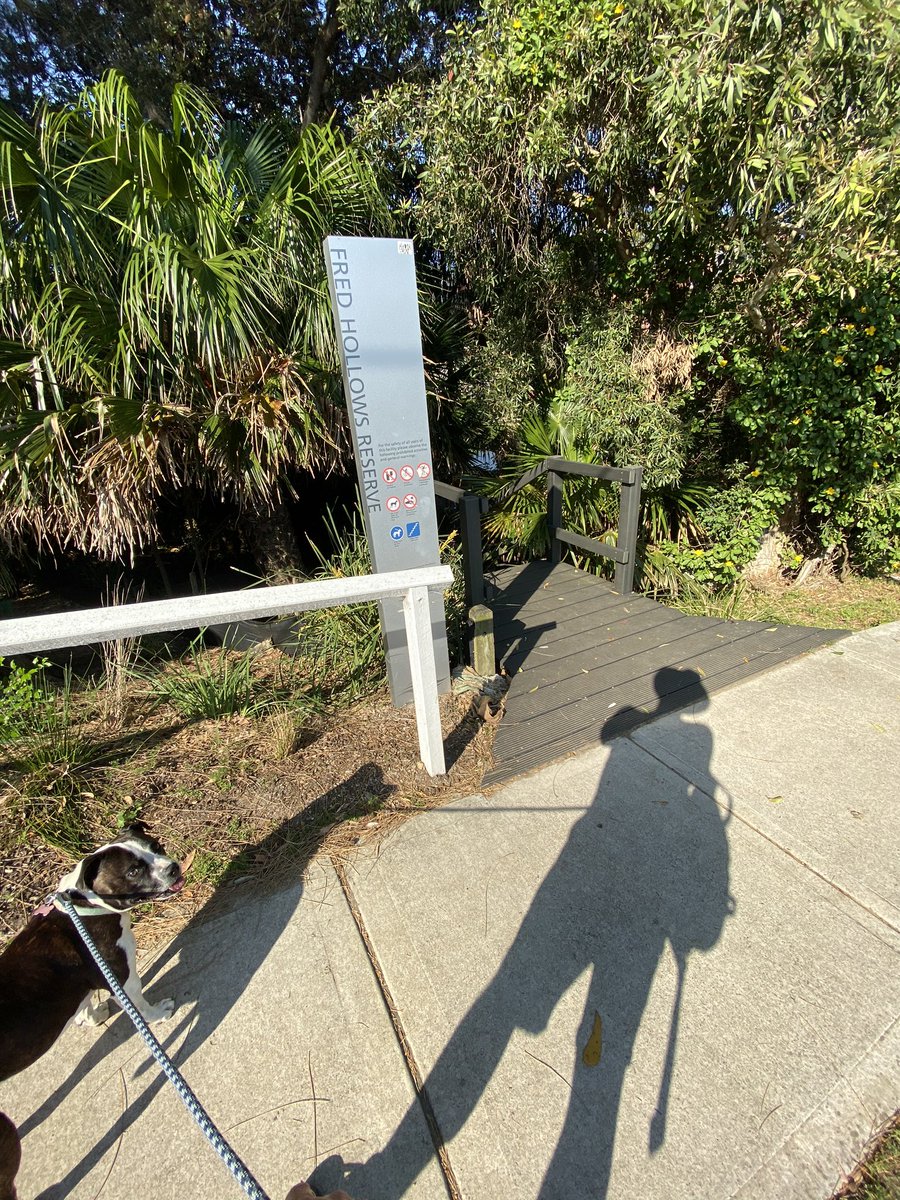 david_m_clark's tweet image. First #ingress mission, supported by Agent Aphrodite 🐶 #idgbl