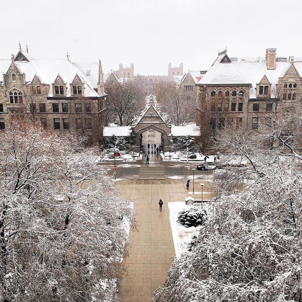 UChicago's tweet photo. What is "fall"?

( 📷: Dian Liu/Instagram) #UChicago https://t.co/jl93uRoRyW