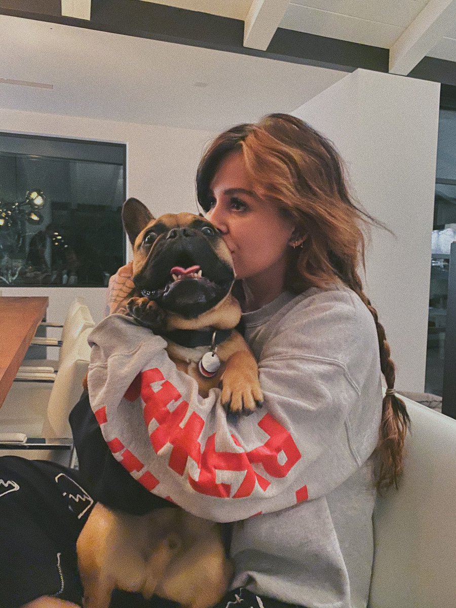 craymusic's tweet photo. This is my family dog. His name is fudge. He is a beef cake https://t.co/3AoFgSEBJU
