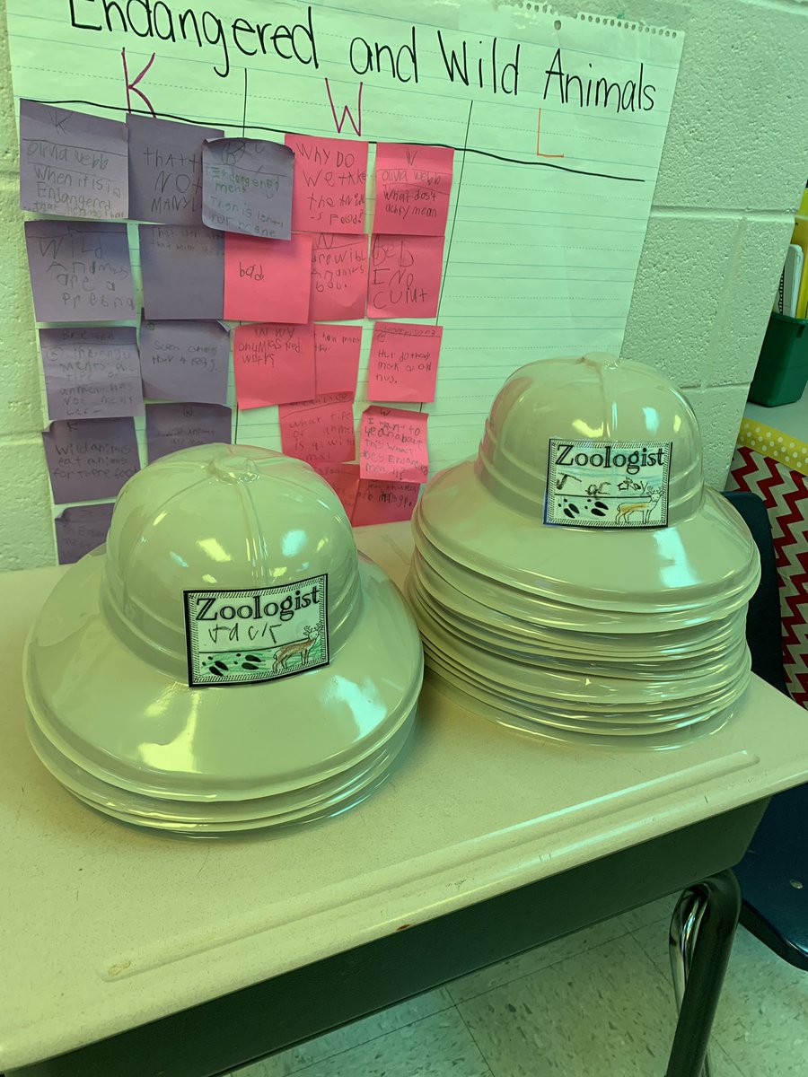 TeachEdwards08's tweet photo. First graders @SawneeElem are wild about their endangered animal unit launch! @AmericanReading @Piperreads @derrickhershey #sawneepurpose https://t.co/F1pGK51BVL
