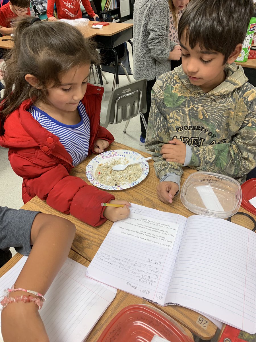 mjfleming5's tweet photo. We have loved having our kindergarten buddies visit us to have fun and learn about mealworms! @hstovall12 @MrsJeffreys108 #TaraO https://t.co/EiB8rlbvGu