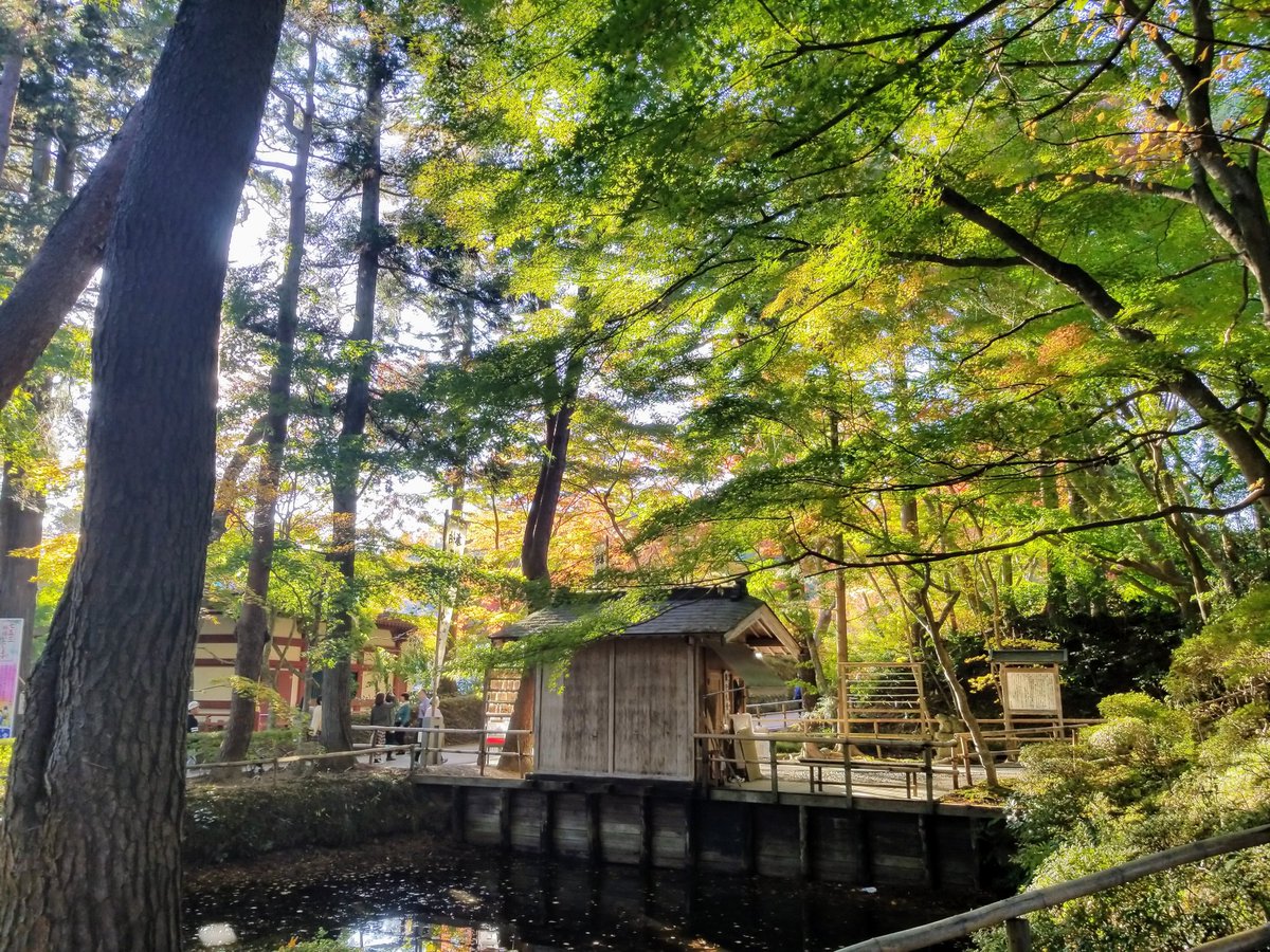 shiduhata's tweet photo. 【🍠今が見頃 平泉紅葉🍁】
皆様、栗原市の薬師まつりはいかがでしたか？
#しづはた姫👸 と由縁のある平泉は現在、紅葉が見頃のようです！
中尊寺には何度も足を運んでいるのですが #毛越寺 にもぜひ行ってみたいものです。もみじが綺麗なんです！
#岩手 #平泉 #紅葉🍁 https://t.co/eBRW9Tnwpq