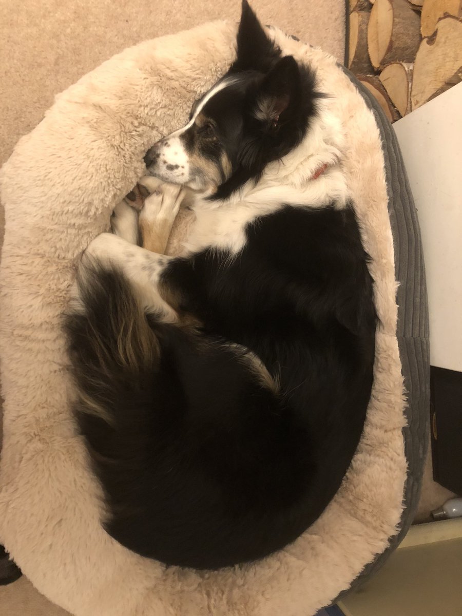 💤