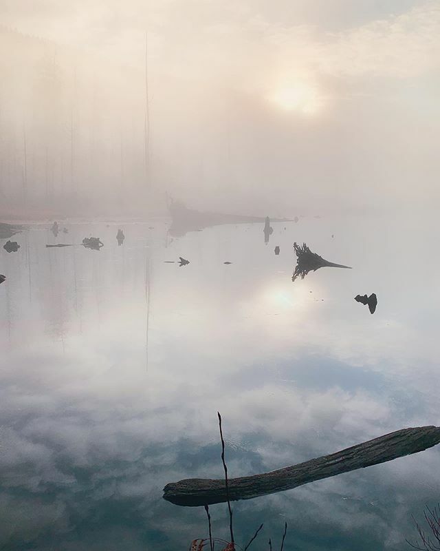 joewuq's tweet photo. #gooutside #earthpix #natureaddict #bestmountainartists #camping #naturephotography #bcparks #theoutbound #wanderlust #ourplanetdaily #awesomeearth #landscapes #keepitwild #vancouvertrails #northshore #yvr #vancouver #yourbcparks #hikebc #mountains #pnwo… https://t.co/zU9jXysewa https://t.co/2MD3mEkn9i