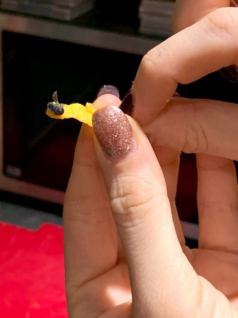 livspooner's tweet photo. Opened a new box of Frosties &amp; this was in there. Feel sick 🤢@KelloggsUS https://t.co/IkTNU906kK