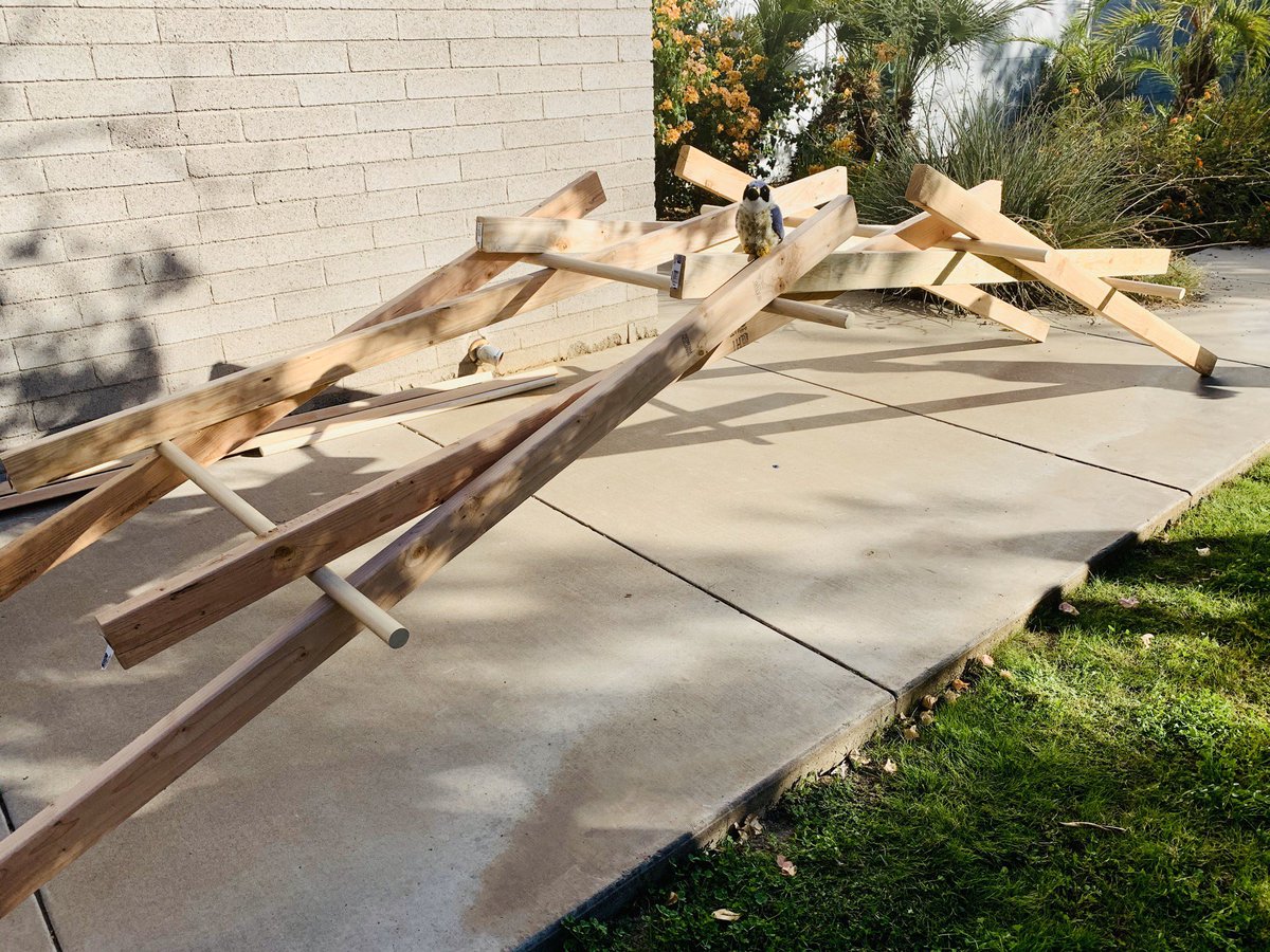 STEMFalcon's tweet photo. Testing out our Leonardo da Vinci bridge at the end of #CREATEaz Camp: Building Bridges! #STEM #STEAM @AZScienceCenter https://t.co/6JdIEmTato