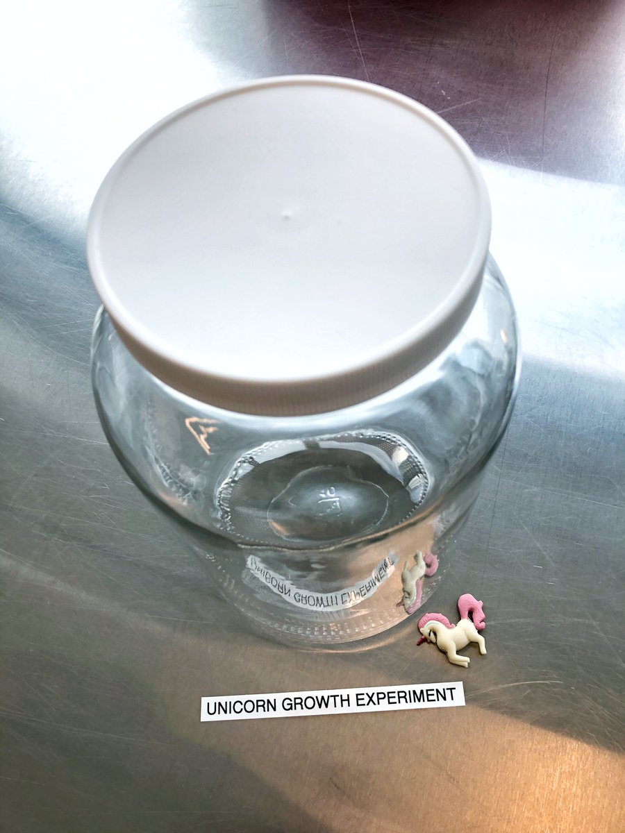 kcline's tweet photo. I did a thing at work today
🦄🦄🦄🦄🦄🦄🦄🦄🦄
#unicorn #growyourownunicorn #unicorngrowthexperiment #stupidbutfun #wwllt https://t.co/yuNshcTHvc