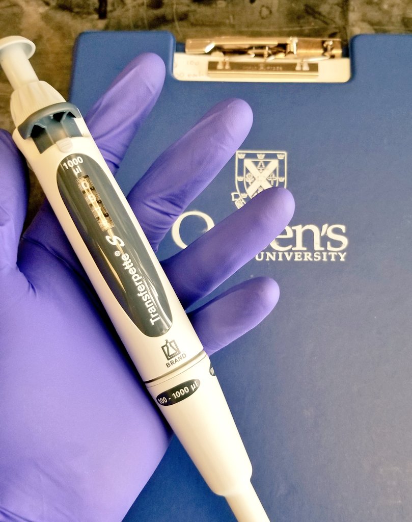 Queen's iGEM (QGEM) tweet media