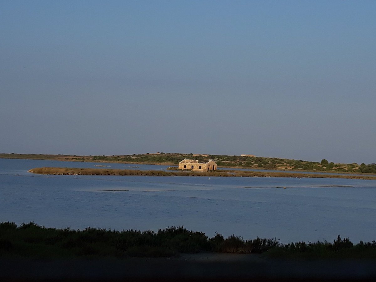RossiDedo's tweet photo. Marzamemi. Il Pantano Grande. Oasi di Vendicari https://t.co/XZxYg1sMky