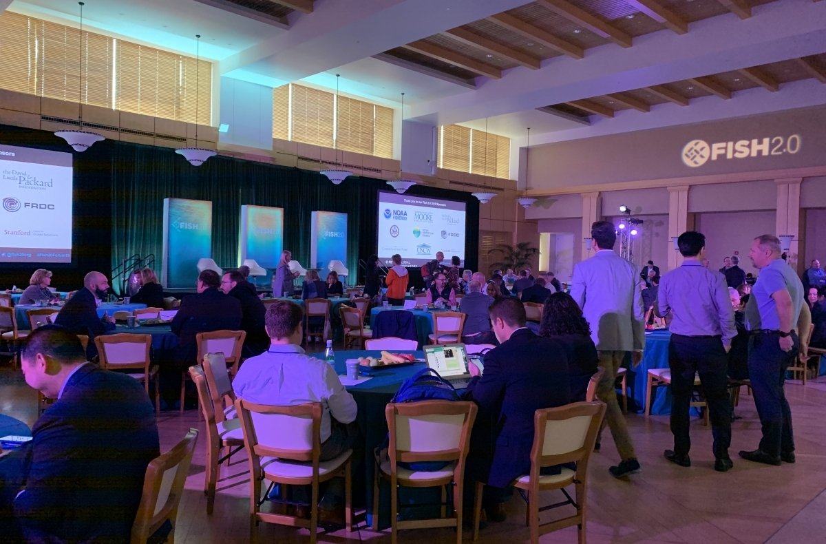 What might a #sustainableseafood future look like? The <a href="/fish20org/">Fish 2.0</a> Forum last week brought together global innovators to explore possibilities for #foodsecurity and a #sustainable ocean. #Fish20Forum19 stanford.io/2NFc1Lw