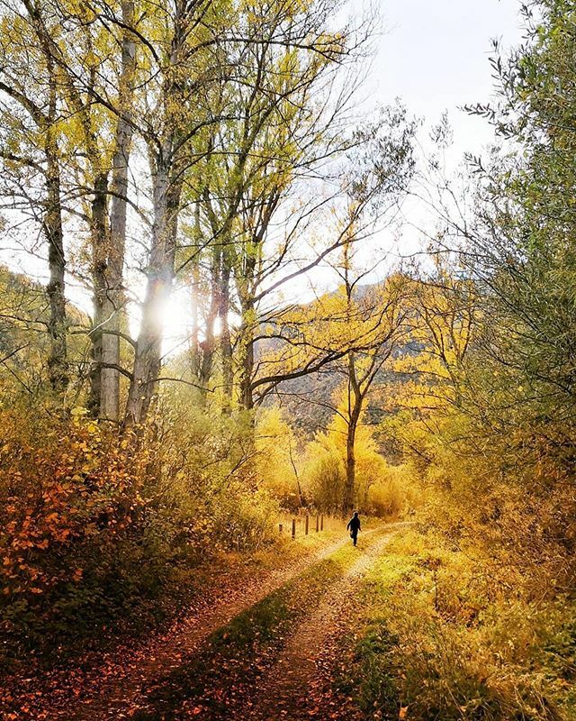 L'#InstantDestaCat que hem seleccionat avui és aquesta imatge de <a href="/marta/">Martin A Krieger</a>.coll. Moltes gràcies, Marta, per les teves fotos i per compartir-les amb nosaltres!
💜❤️💛💚💙
.
👉🏻Recordeu: si voleu ser mencionats, seguiu-nos i etiqueteu amb #igerscatalonia i #ig… ift.tt/2rBMNoN