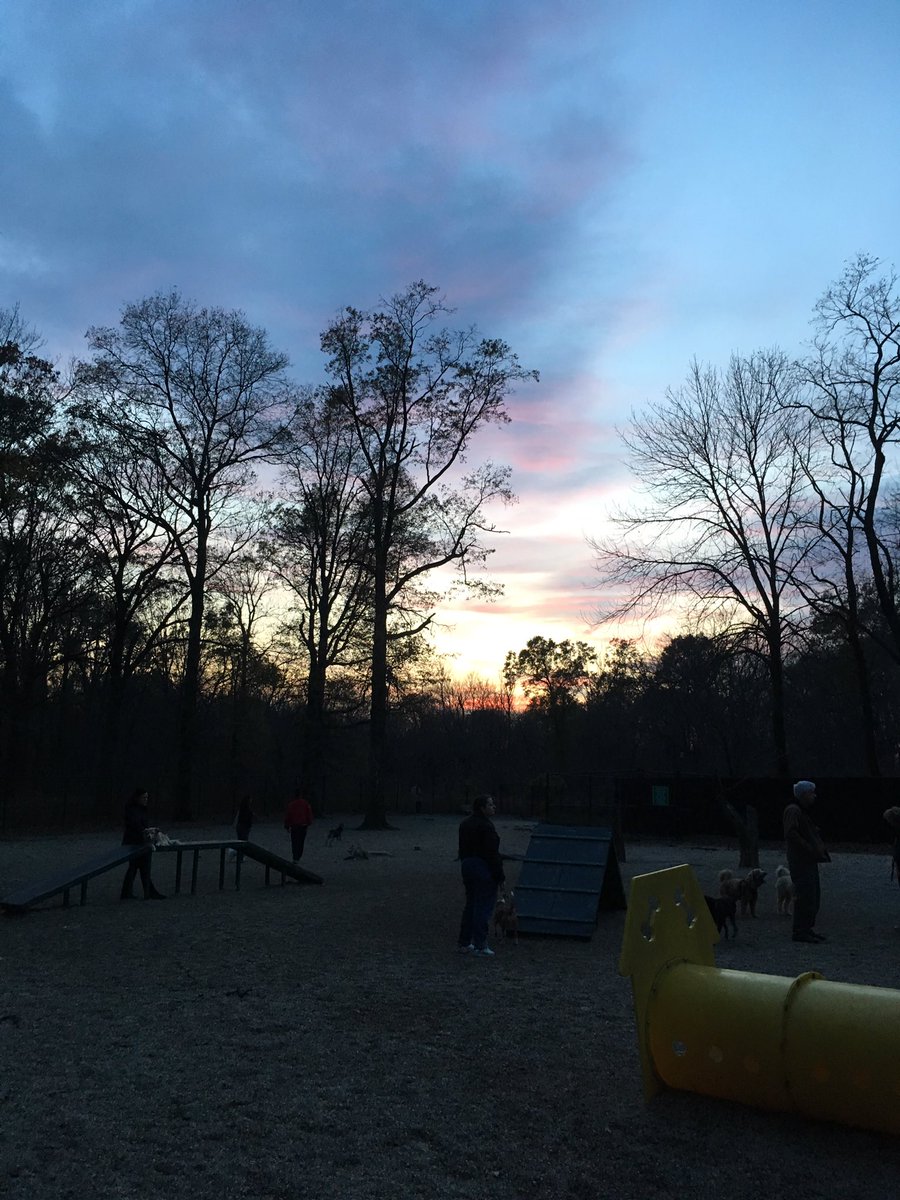 BorstelInnes's tweet photo. Oh, man! Sun setting just as we get to the #dogpark. #notfair https://t.co/dBolWjSZPd