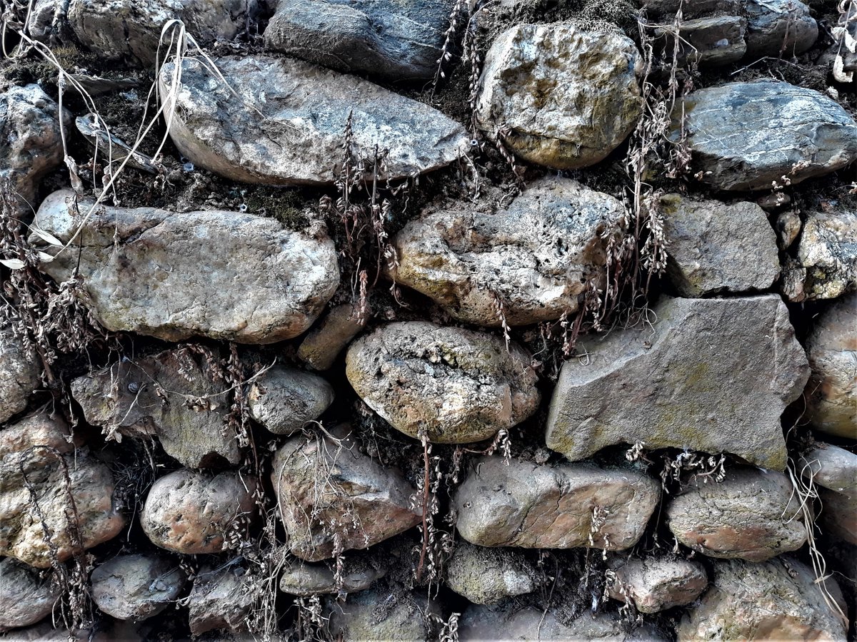 diana_therose's tweet photo. #Sarzedo #Coimbra #Arganil #Portugal #Europe #travelphotography #trip #travel #traveling #travelgirl #textures #ancientwall #beautifulplaces #romanticplaces #nature #naturelovers #aldeiasdeportugal #lifestyle #adventure #stonewall #details https://t.co/0N1F3XBhnR