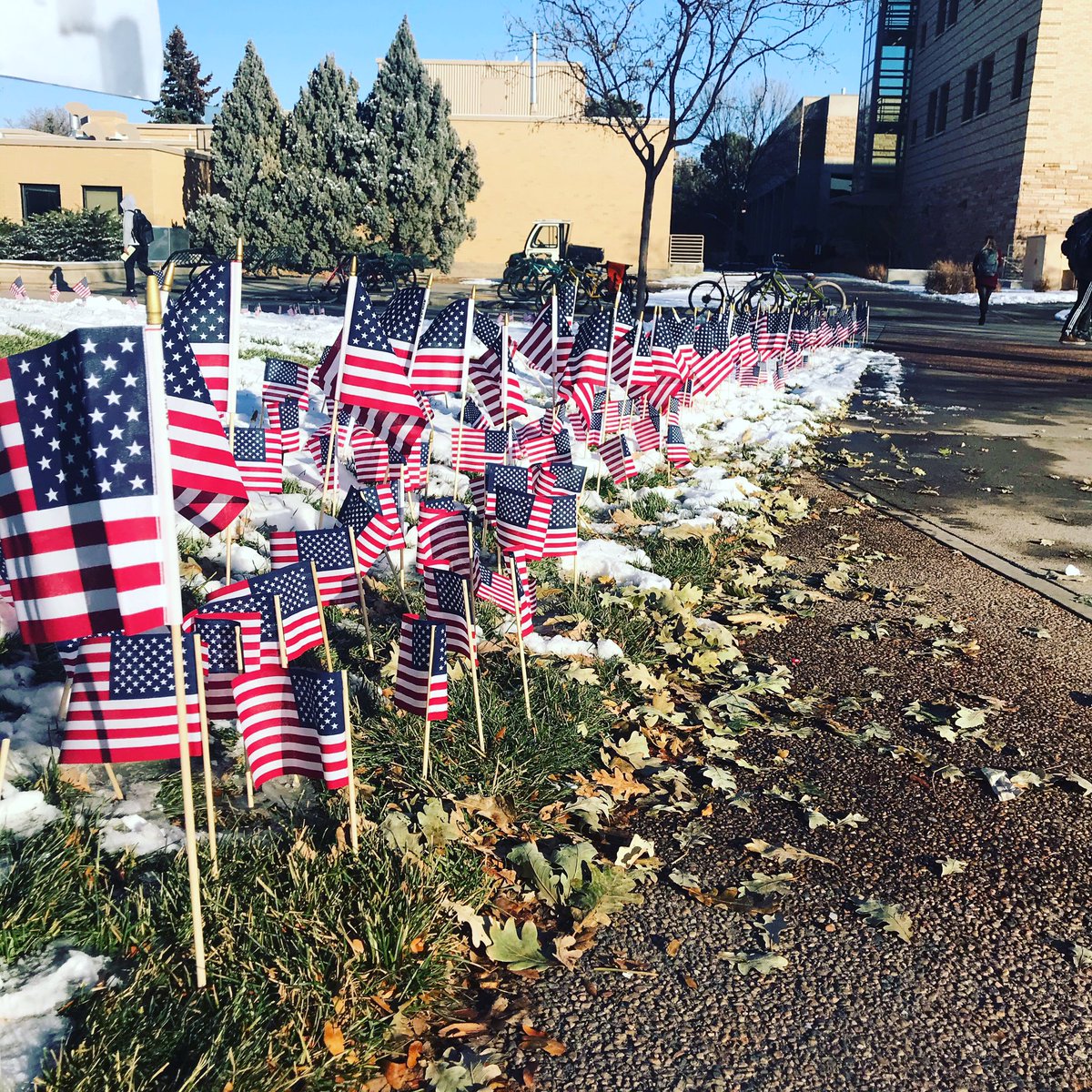 ColoStateRHA's tweet photo. Happy Veterans Day Rams! https://t.co/CSNnOfhSFV