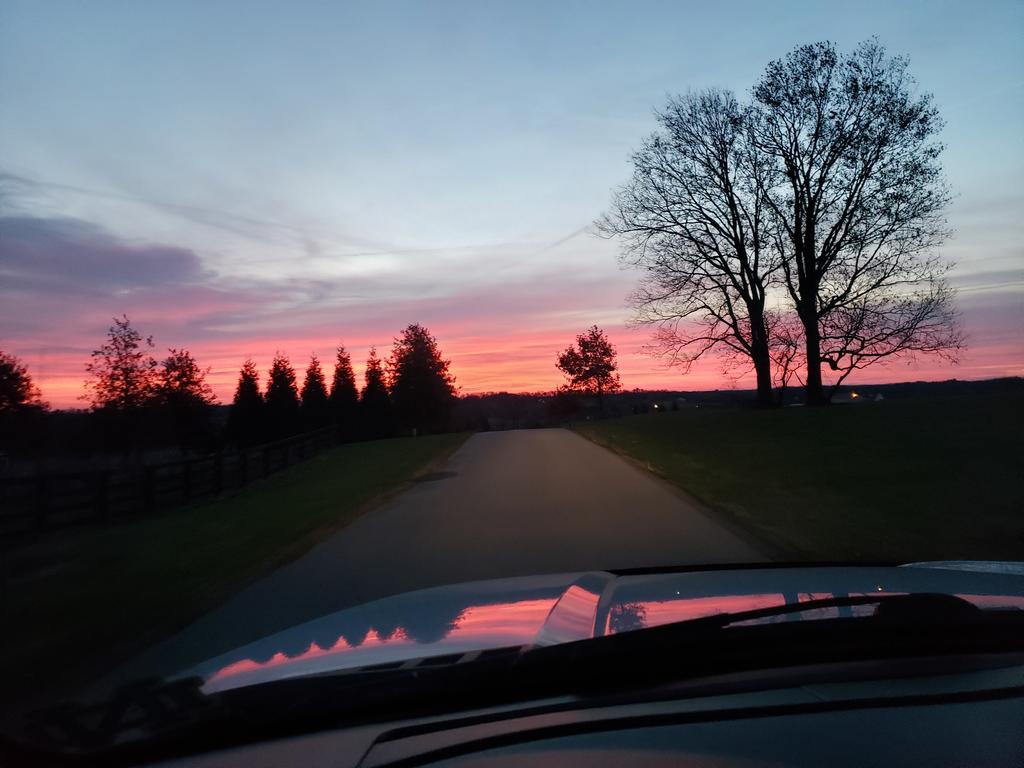 My commute this AM had the normal stuff (horses, cows, beautiful pastures, green grass) plus this awesome cotton candy sky. #bluegrass #Kentucky