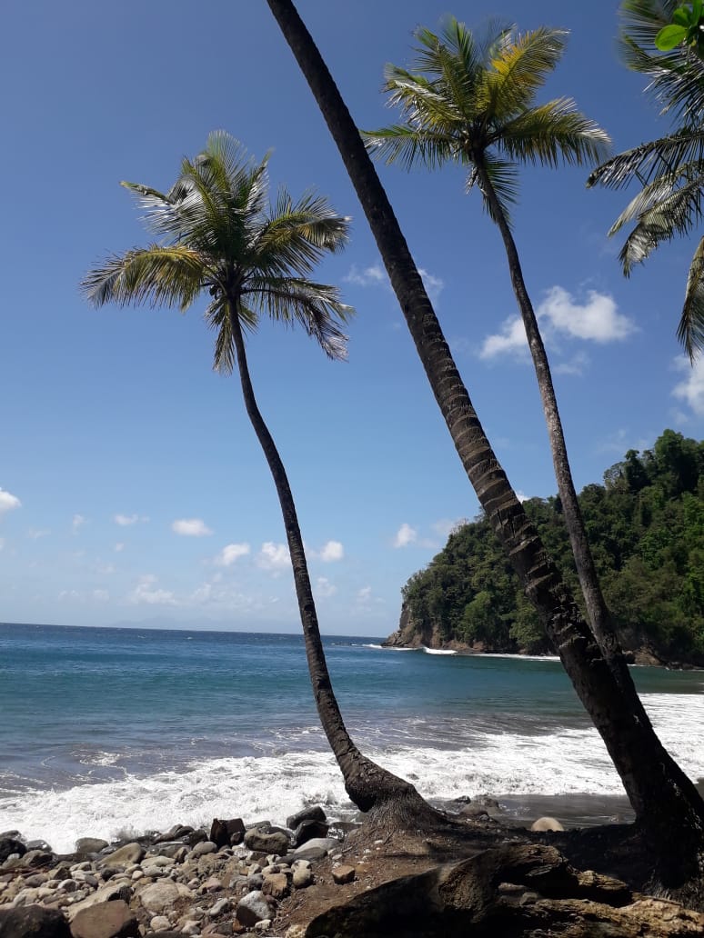 Paolo8614's tweet photo. https://t.co/7WHJZiVzzr