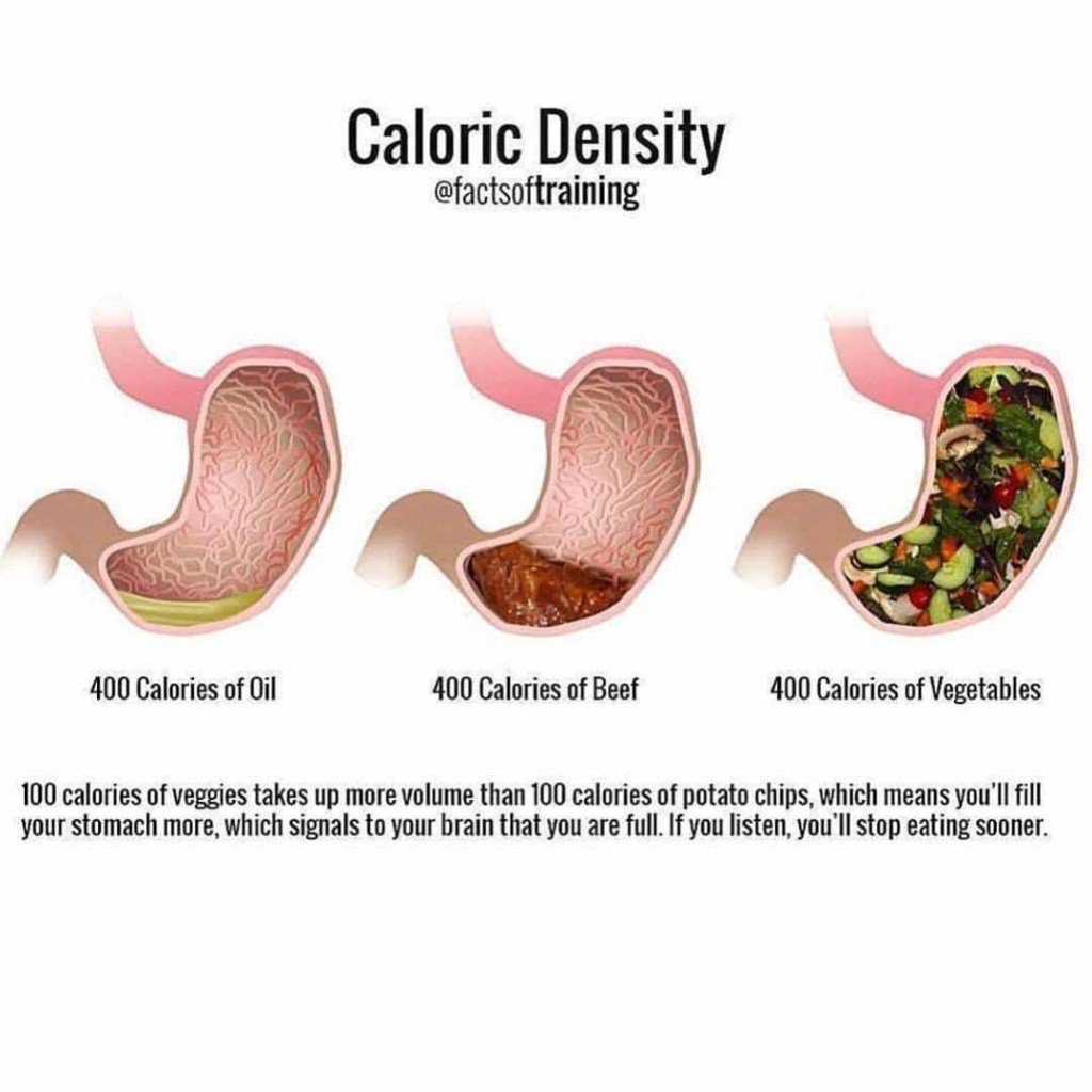 tutorials_on's tweet photo. MAKE USE OF YOUR CALORIES Eat your veggies on the side in every meal . This imag… https://t.co/xuO6XEF19N https://t.co/f7K9NjCQWY
