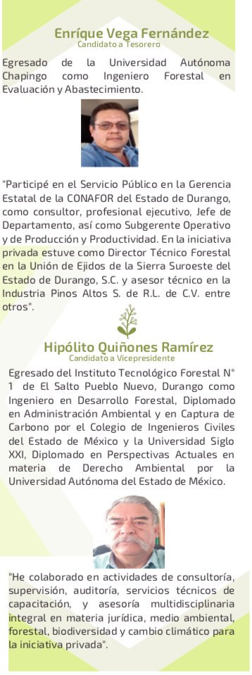 Mundo_Forestal tweet picture