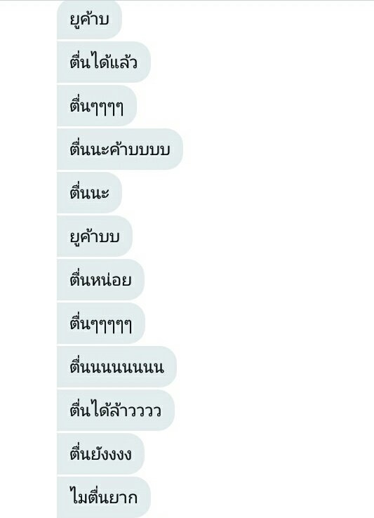 หมูขิงเเมว tweet media