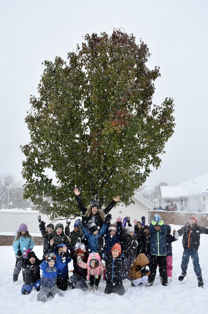 Our class tree is changing and so are we! Growing as scientists everyday in K! #gretchko2020 #wb2020