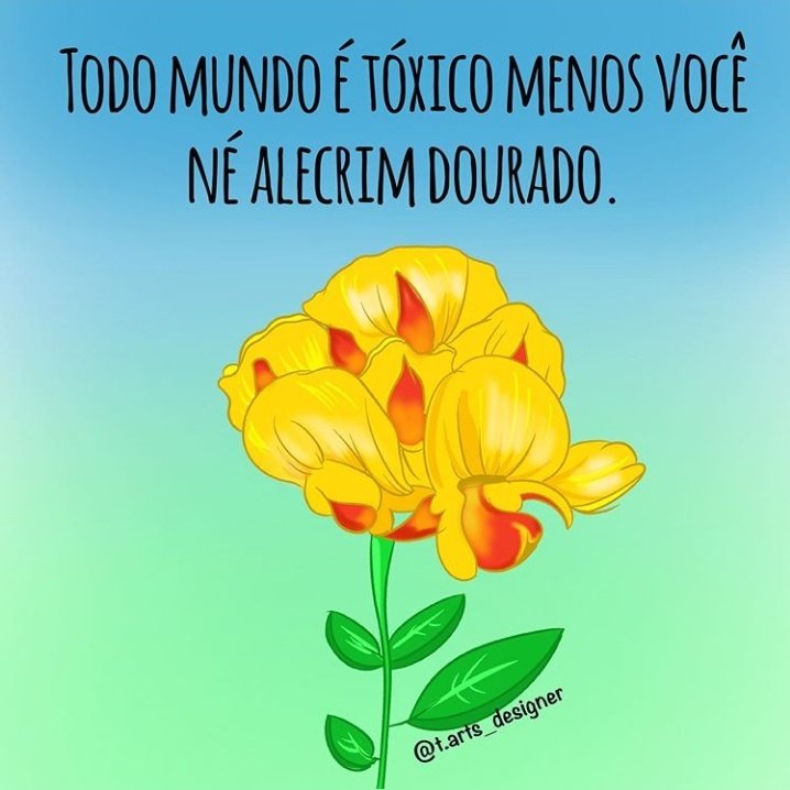 brrunaoliveira's tweet photo. Nasceu no campo sem ser semeado né https://t.co/5s3eYshNNo