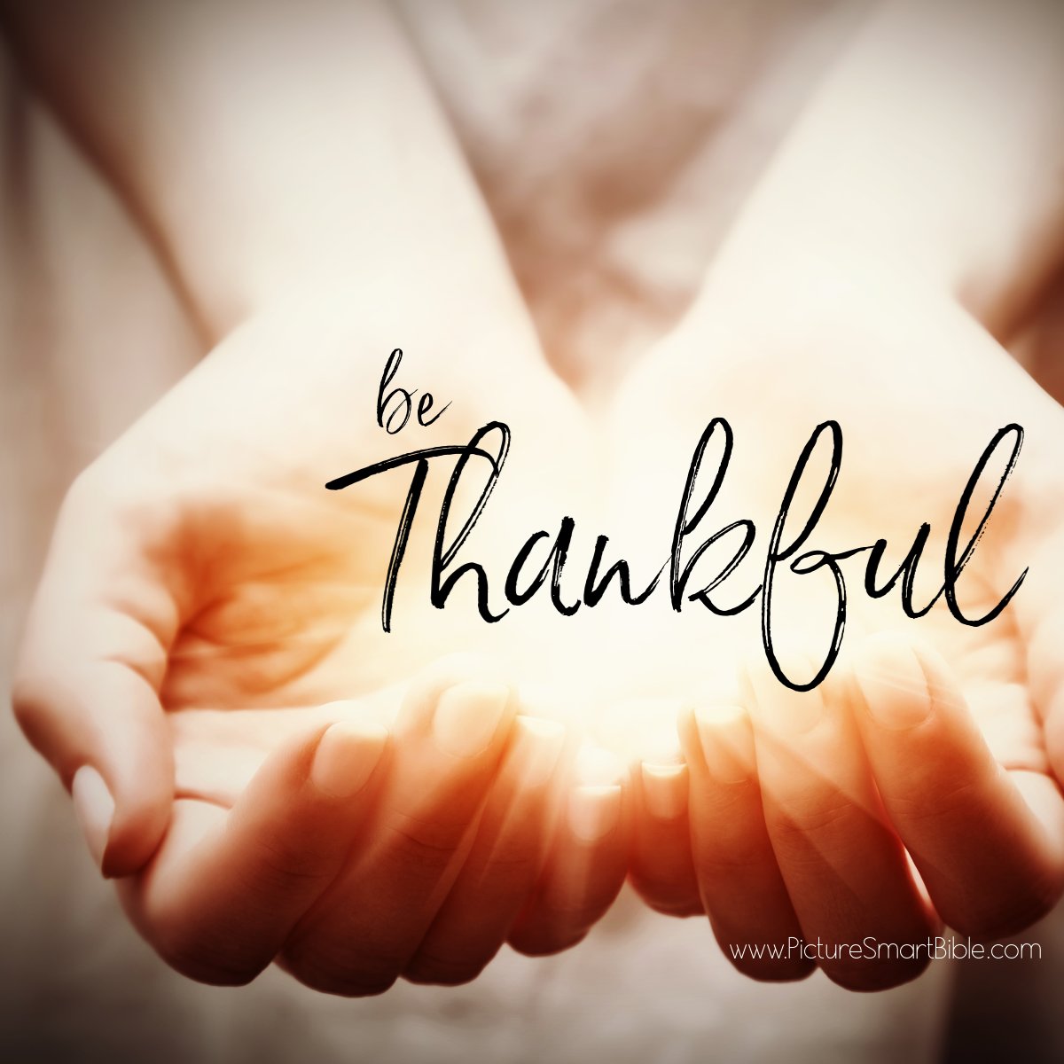 PictureBible's tweet photo. "And let the peace of Christ rule in your hearts, to which indeed you were called in one body. And be thankful."  - Colossians 3:15

Be thankful in all that you do. God is always with you and that gives you something to always be thankful for. https://t.co/puFBKXJFMW