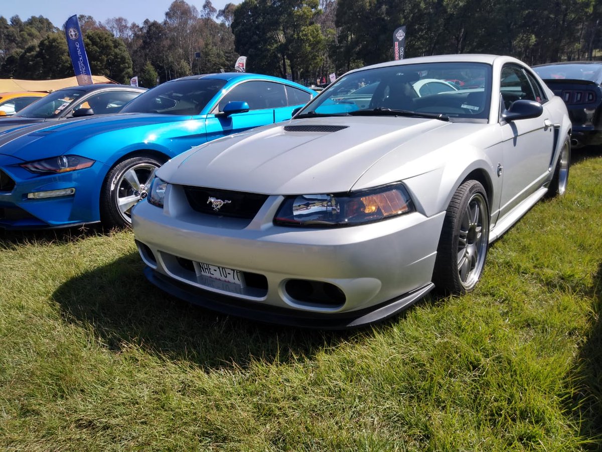 MustangRMX's tweet photo. #MRM #ANCM #fordmustang #YoSoyKor2019 #MeridianoSobreRuedas https://t.co/WSGey9uZlQ