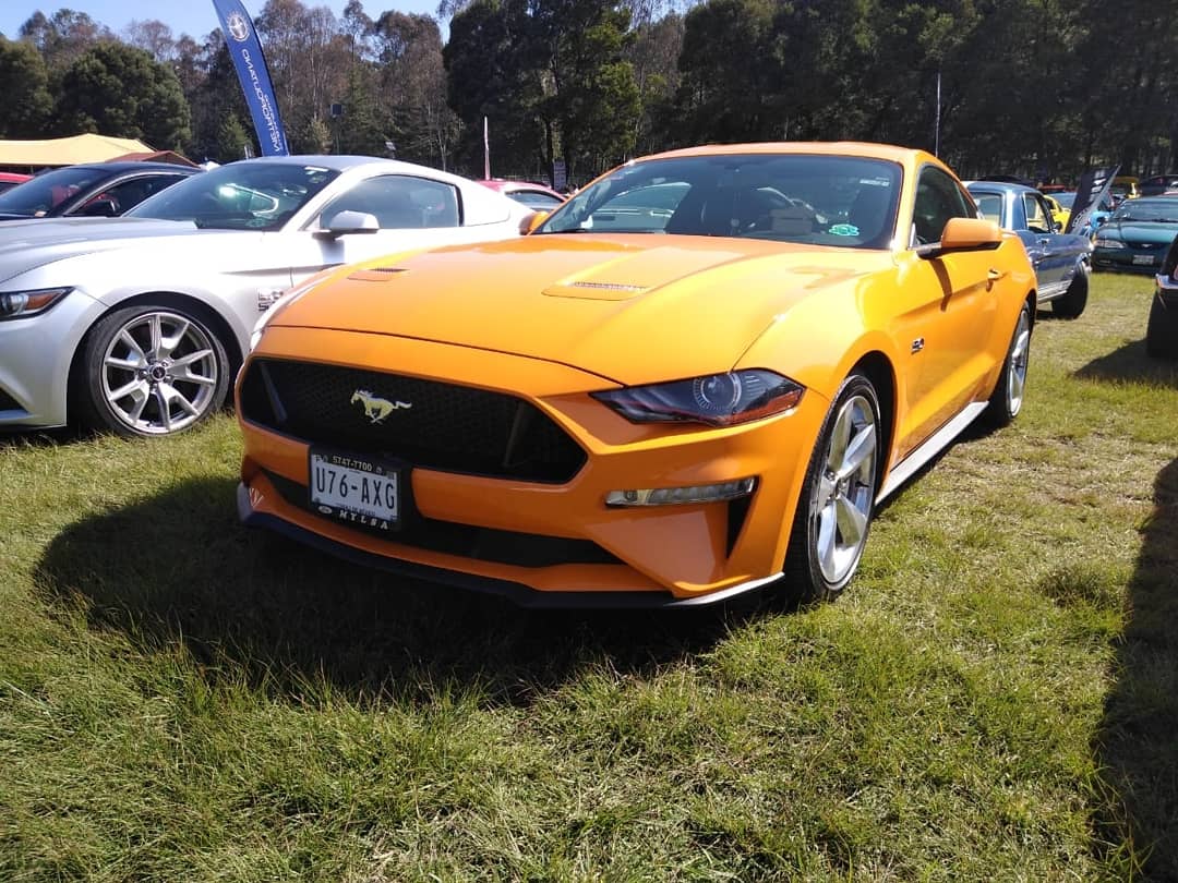 MustangRMX's tweet photo. #MRM #ANCM #fordmustang #YoSoyKor2019 #MeridianoSobreRuedas https://t.co/zCmeAv3Spe