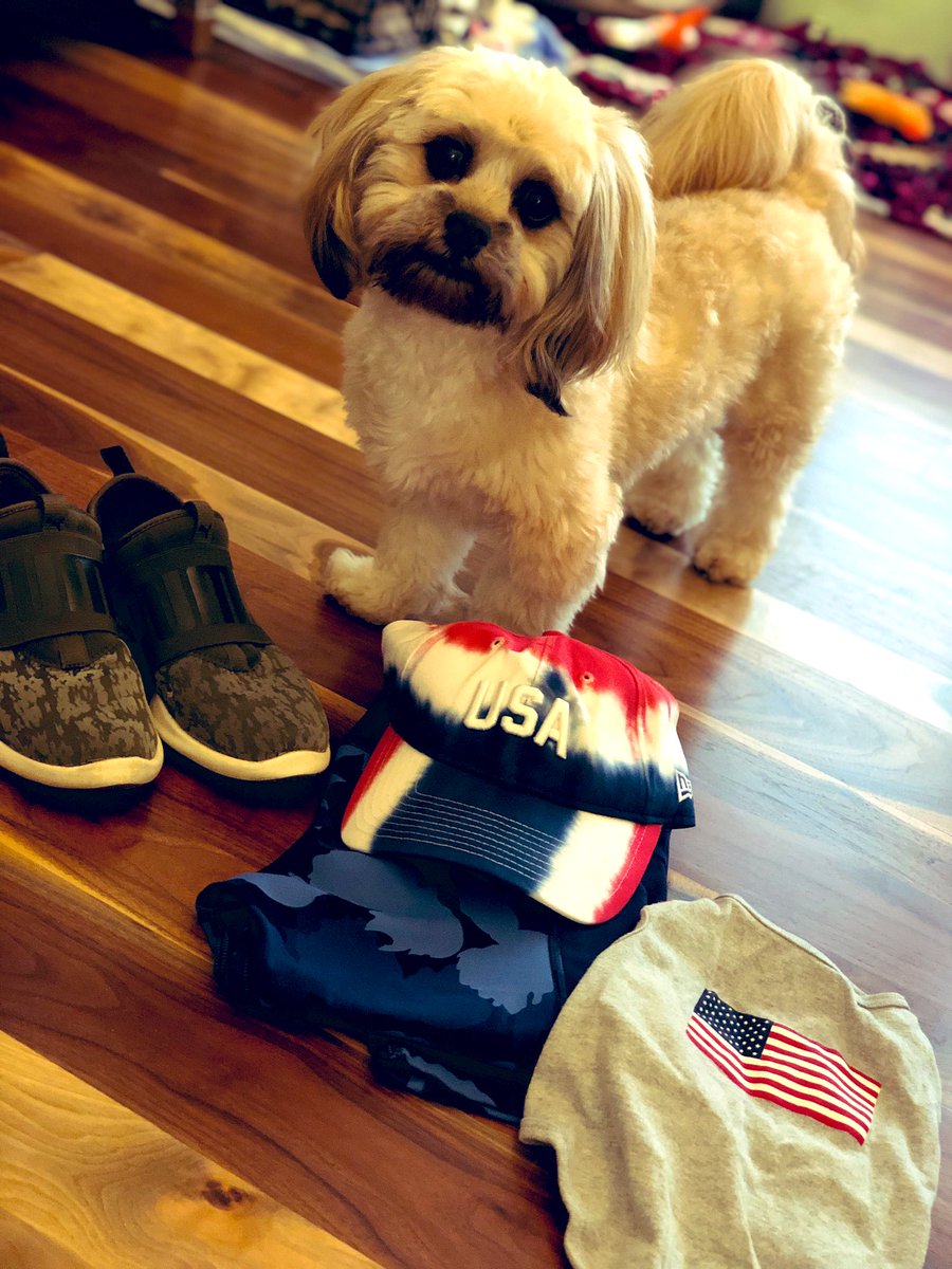 kcsportsgirl's tweet photo. Watson and I are excited for the Vets &amp; Pets 5K Saturday! Those little legs might not make all 3.1 but we can’t wait to support charities we believe in.  Please join us! https://t.co/7NQ3D3AMDO https://t.co/TYJjvWToDt