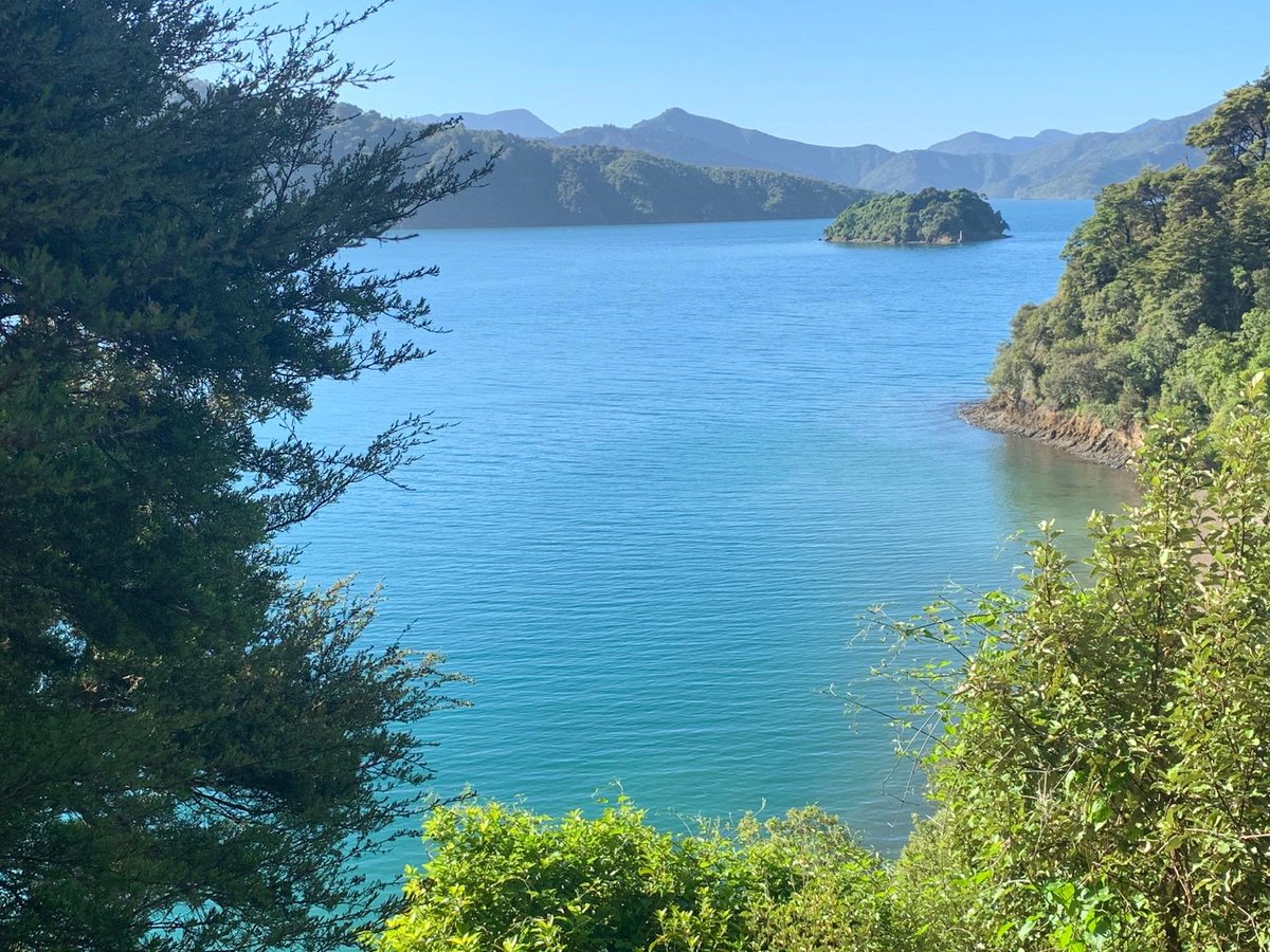 Where will you be on Friday, November 22 when the Tuia 250 flotilla arrives into Waitohi/Picton harbour?

There's an awesome view from Bob's Bay.

#dualheritage #sharedfuture #tuia250 #voyaging #navigation #waka #letstalktuia #flotilla totaranui250.co.nz