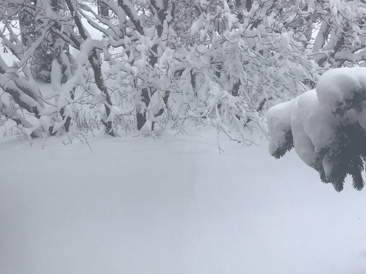 SuperSwift (@lpssuperswift) on Twitter photo Due to continuing treacherous road conditions & inclement weather overnight, all AAPS schools & offices will be closed on Tuesday, Nov 12th - ALL after school & evening activities are cancelled for tomorrow, also. Be safe, #AnnArbor <a href="/A2schools/">A2 Public Schools</a> Due to continuing treacherous road conditions & inclement weather overnight, all AAPS schools & offices will be closed on Tuesday, Nov 12th - ALL after school & evening activities are cancelled for tomorrow, also. Be safe, #AnnArbor <a href="/A2schools/">A2 Public Schools</a>