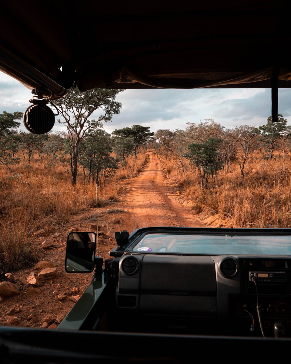 kostas95's tweet photo. Going on a safari in South Africa was one of the greatest experiences of my life! https://t.co/eNHzeJKAI3