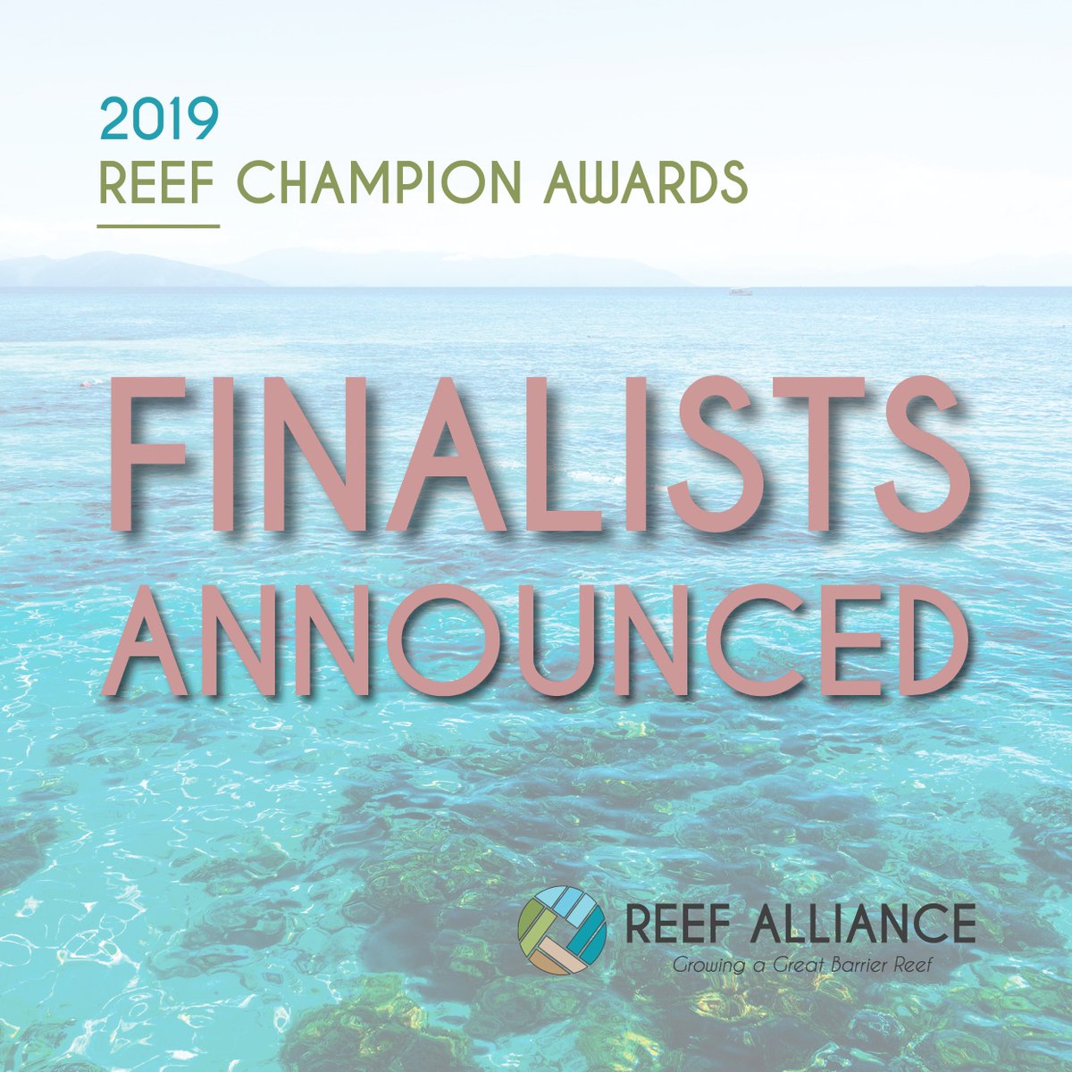 ReefAllianceAU's tweet photo. In the lead up to the 2019 #ReefChampionAwards on Tuesday, 26 November, we'll be introducing you to our outstanding finalists and recognising their efforts to protect the #GreatBarrierReef. Be sure to say hello! ๐ https://t.co/J9UWdphHSZ #ReefAlliance #agchatoz https://t.co/mROMPmeUju