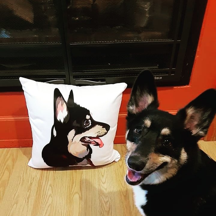 PatrickRutt's tweet image. Archie got a pillow #corgi