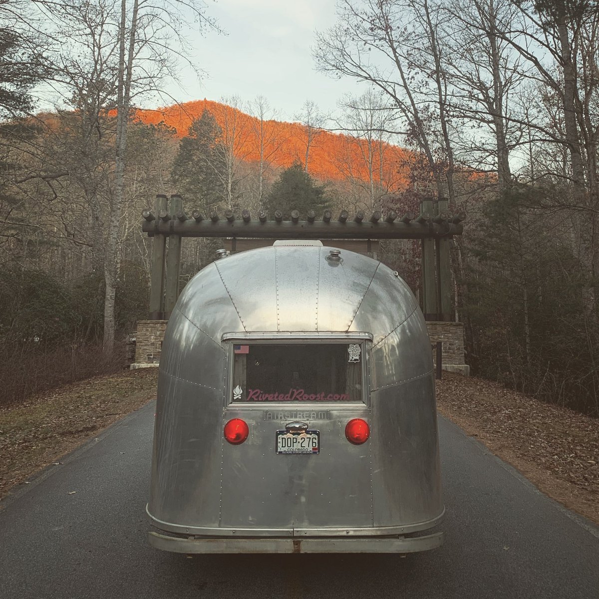 Parting is such sweet sorrow. My forest residency has come to a close. Heading down the mountain but excited to make Western North Carolina my winter home. So incredibly grateful for this experience and all the wonderful friendships made. 🌲💛🍁 #liveriveted #foresttherapy