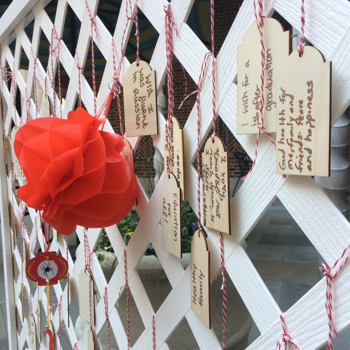 Spiders Abroad tweet media