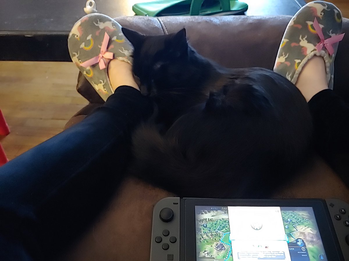 Kitty cuddles 😍
.
.
.
.
#kitty #prettylittlething #furry #cosmic #creepers #unicorn #switch #civ6