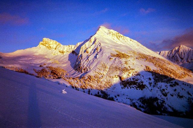 Disposable sunset from a camera long gone and a memory that’s sure to last a while ift.tt/2K9FwTy