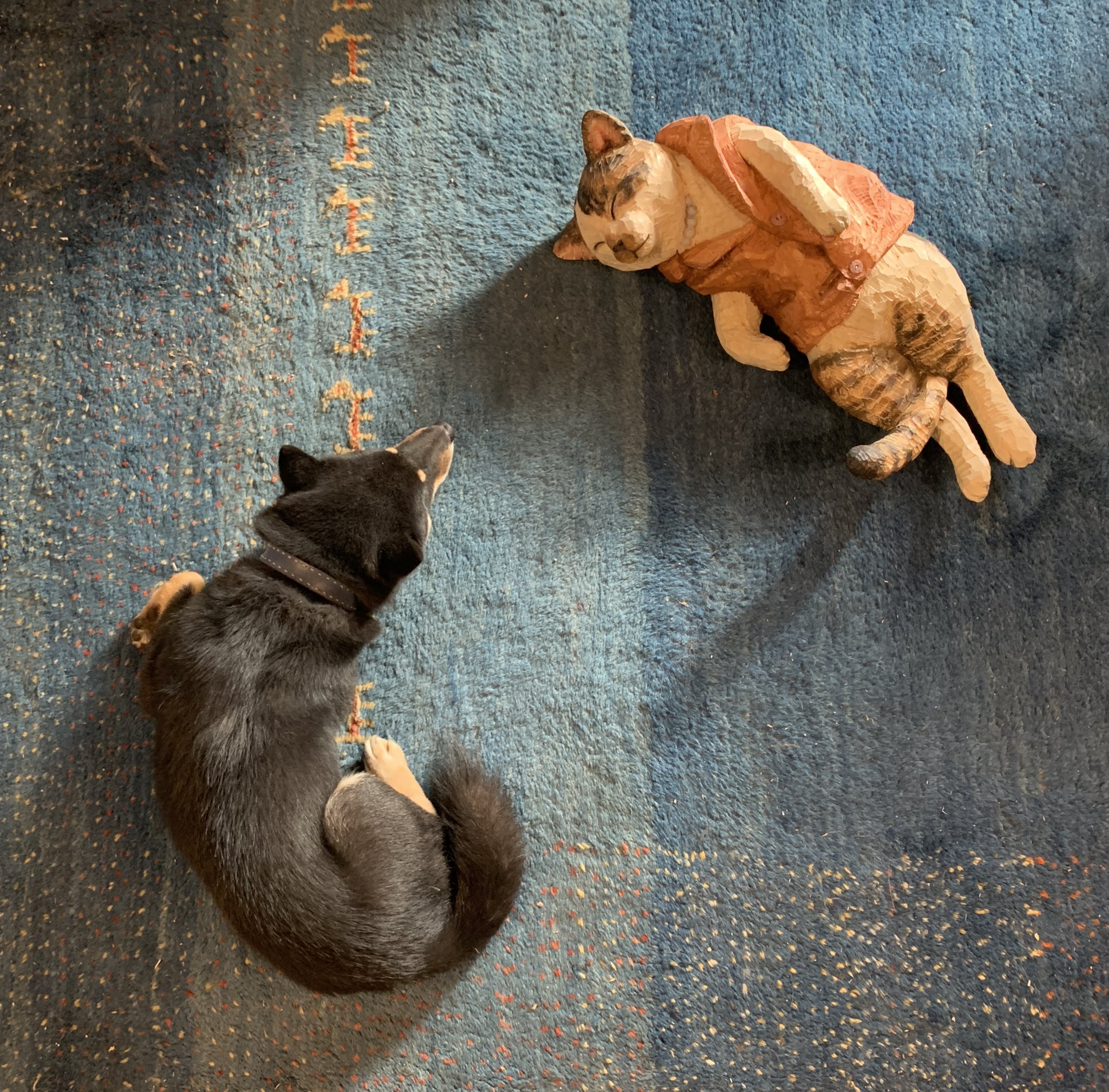 はしもとみお 南極大陸に行った猫 タケシくん完成しました あたたかいベストを着せてもらって船で寝ているところ 月くんはこの子がとても好きなようで 同じポーズでずっと一緒に寝ています はしもとみお 南極大陸に行った猫 タケシくん完成しました あたたかいベストを着せてもらって船で寝ているところ 月くんはこの子がとても好きなようで 同じポーズでずっと一緒に寝ています