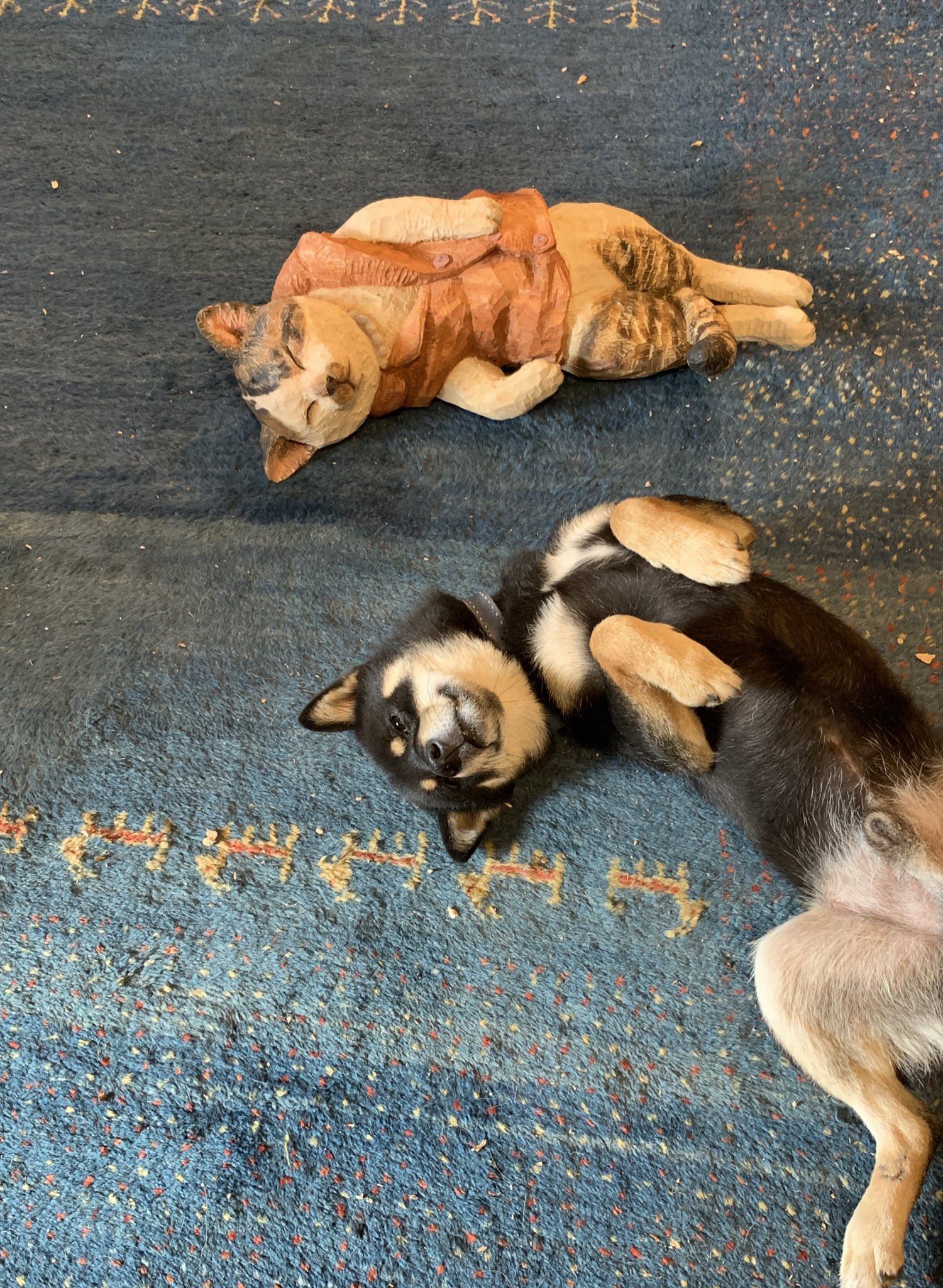 はしもとみお 南極大陸に行った猫 タケシくん完成しました あたたかいベストを着せてもらって船で寝ているところ 月くんはこの子がとても好きなようで 同じポーズでずっと一緒に寝ています