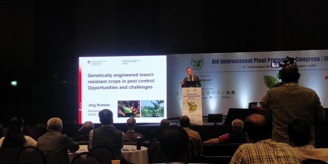 Ippc2019's tweet photo. Dr  Joerg romeis,@Agroscope delivered Keynote speaker @Ippc2019 #Genetically engineered crops are must to control the most challenging pests of agriculture @ICRISAT @GLDC_CGIAR # future @icarindia @iprrg https://t.co/406Bqsiz9l