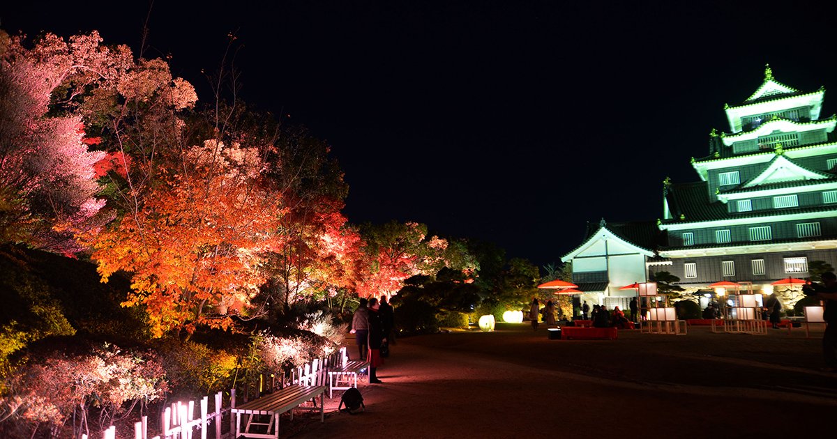 tjokayama's tweet image. 【秋の烏城灯源郷】

旭川への映り込みが美しい下段部分と、天守閣前の本段がライトアップされる『岡山城』の人気企画！
#烏城灯源郷 #岡山城 #烏城 #幻想庭園

tjokayama.jp/event/ujo-toge…