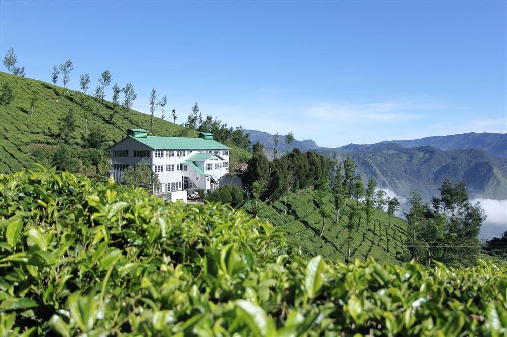 silvertipsmnr's tweet photo. “If you are cold, tea will warm you;
if you are too heated, it will cool you;
If you are depressed, it will cheer you;
If you are excited, it will calm you.”
#Munnar
#KeralaTourism
#ShowcaseMunnar
#VisitMunnar
#SMARTMunnarhotels
#honeymoondestination
#Hillstationholiday https://t.co/DtOgPq7zti
