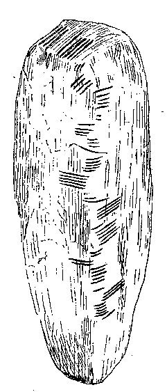 Ogham stone from the Isle of Man showing the droim in centre. Text reads BIVAIDONAS MAQI MUCOI CUNAVA[LI] English :- Of Bivaidonas, son of the tribe Cunava.