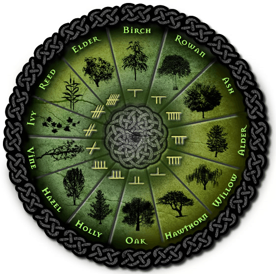 As well as having a tree associated with each letter, there was a hand signal, a spirit, and a concept also embedded into it. Like the runes, the Ogham letters are also used as a tool of divination.