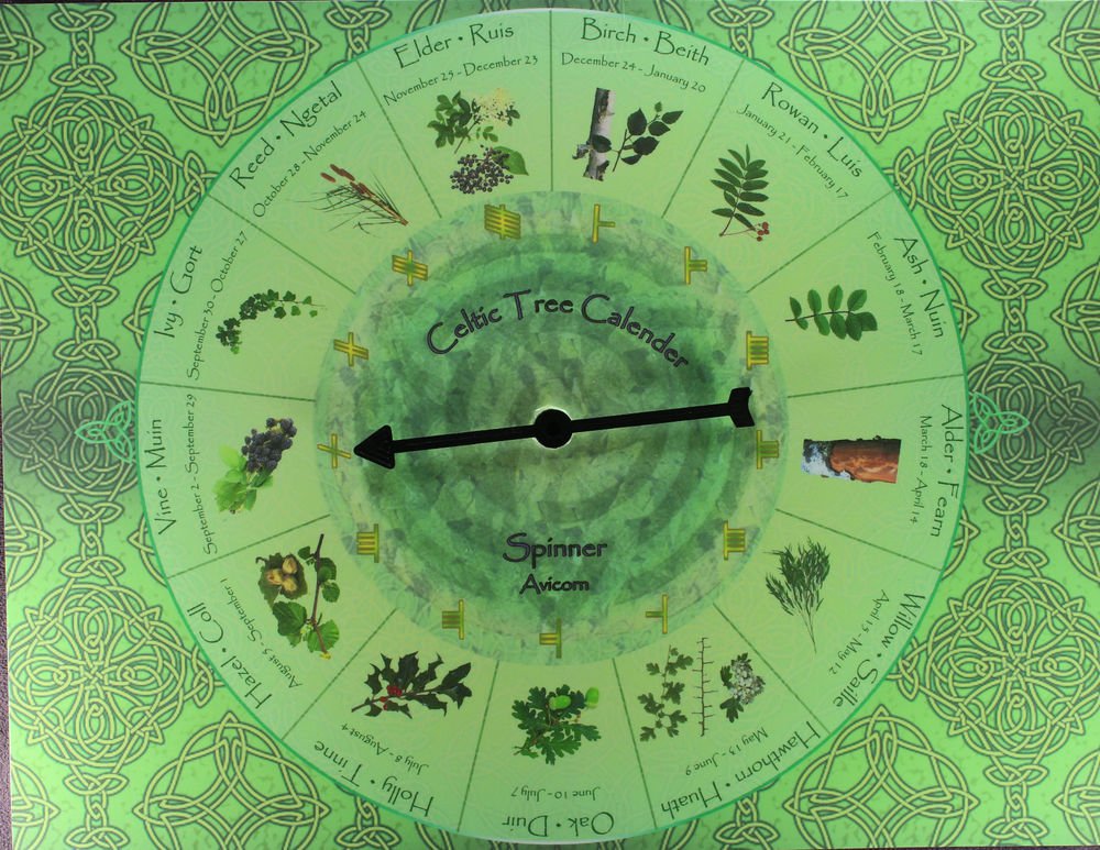 Robert Graves extrapolated the idea of the Tree alphabet to make a tree calendar. Because the Druids gauged their months according to the phases of the Moon there are 13 months in this particular system of measuring time.