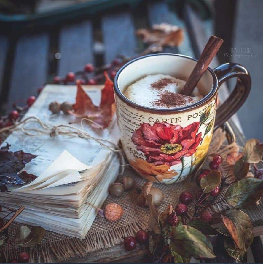 MaximusCampers's tweet photo. Just One Of The #StandardFeatures With Every #MaximusUltimateCamperTrailer
Is An #ExternalKitchen In Addition To The Internal One.
This #OutdoorsKitchen Will Be #FullyFunctional In #TravelMode Meaning You Get To Pull Over For A #Cuppa Whenever Needed.
#notmyimage https://t.co/sEbIuseAf9